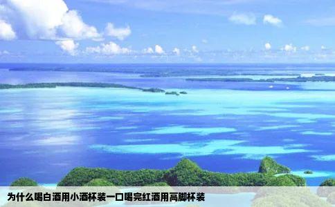 为什么喝白酒用小酒杯装一口喝完红酒用高脚杯装