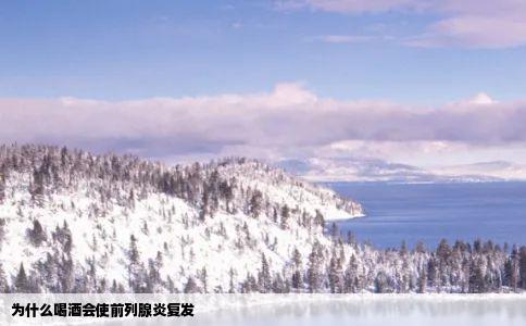 为什么喝酒会使前列腺炎复发