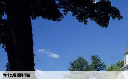 为什么喝酒觉得苦