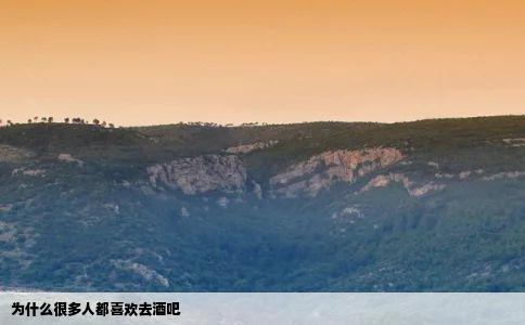 为什么很多人都喜欢去酒吧