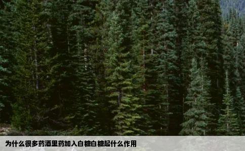 为什么很多药酒里药加入白糖白糖起什么作用