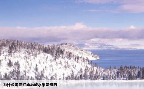 为什么喝完红酒后酸水果是甜的