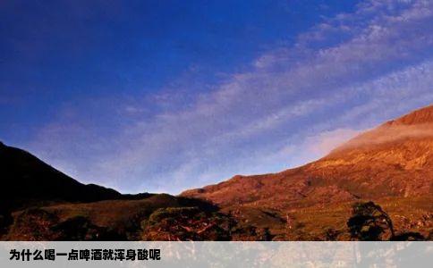 为什么喝一点啤酒就浑身酸呢