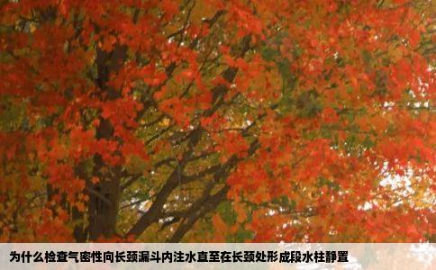 为什么检查气密性向长颈漏斗内注水直至在长颈处形成段水柱静置