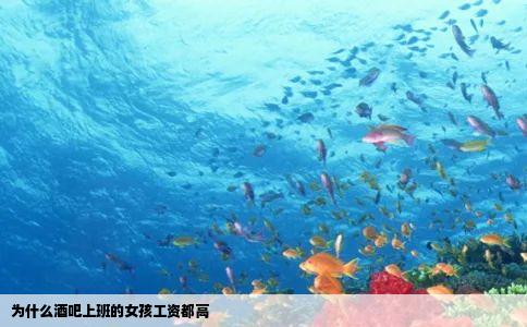 为什么酒吧上班的女孩工资都高