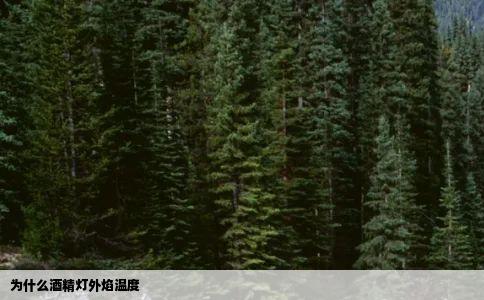 为什么酒精灯外焰温度