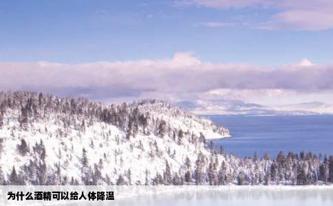 为什么酒精可以给人体降温