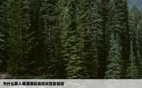 为什么男人喝酒酒后会给女孩发短信