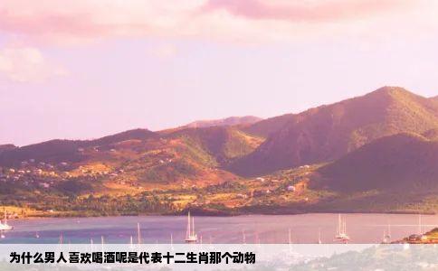 为什么男人喜欢喝酒呢是代表十二生肖那个动物