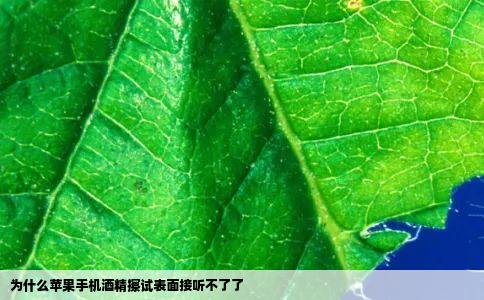 为什么苹果手机酒精擦试表面接听不了了