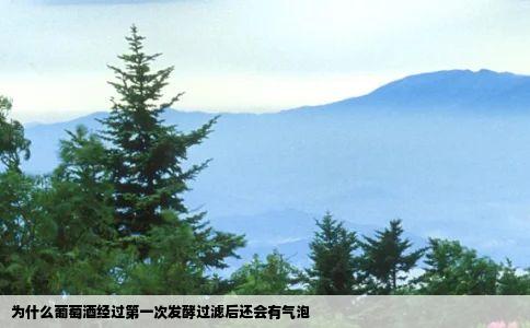 为什么葡萄酒经过第一次发酵过滤后还会有气泡