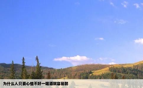 为什么人只要心情不好一喝酒就容易醉