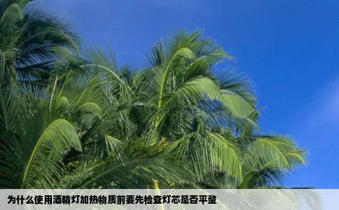 为什么使用酒精灯加热物质前要先检查灯芯是否平整