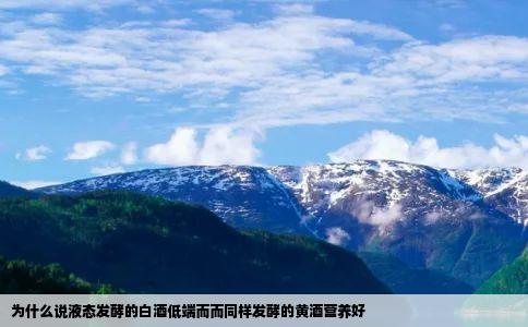 为什么说液态发酵的白酒低端而而同样发酵的黄酒营养好