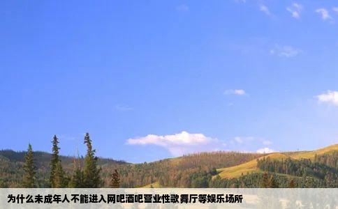 为什么未成年人不能进入网吧酒吧营业性歌舞厅等娱乐场所