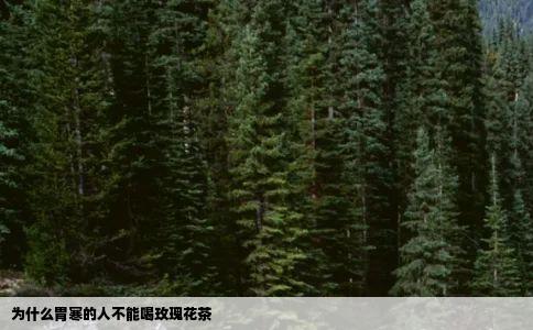 为什么胃寒的人不能喝玫瑰花茶