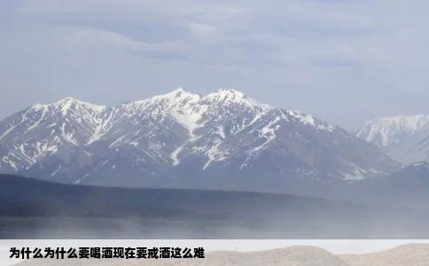 为什么为什么要喝酒现在要戒酒这么难