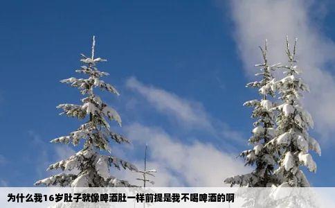为什么我16岁肚子就像啤酒肚一样前提是我不喝啤酒的啊