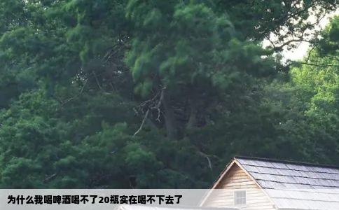 为什么我喝啤酒喝不了20瓶实在喝不下去了