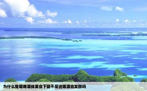 为什么我喝啤酒体重会下降不是说喝酒会发胖吗