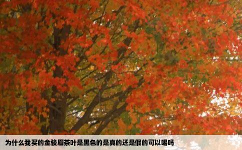为什么我买的金骏眉茶叶是黑色的是真的还是假的可以喝吗