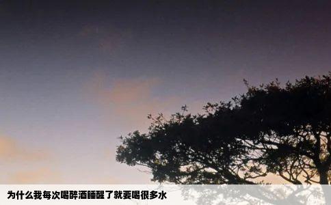 为什么我每次喝醉酒睡醒了就要喝很多水