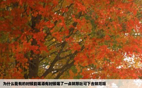 为什么我有的时候能喝酒有时候喝了一点就想吐可下去就范呕