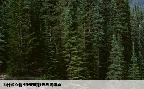 为什么心情不好的时候总想喝醉酒