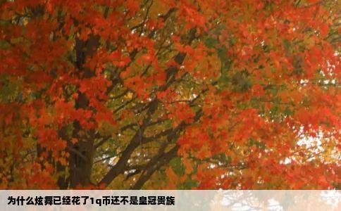 为什么炫舞已经花了1q币还不是皇冠贵族