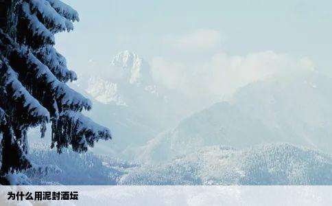 为什么用泥封酒坛