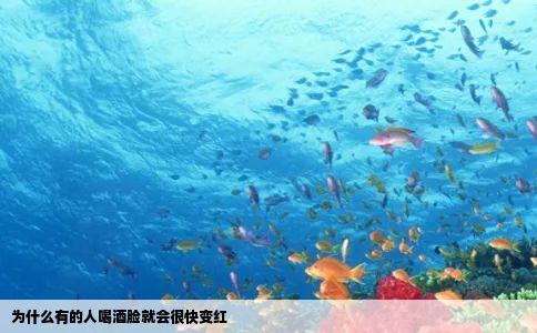 为什么有的人喝酒脸就会很快变红