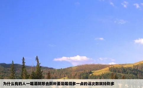 为什么有的人一喝酒就想去厕所要是喝得多一点的话次数就特别多