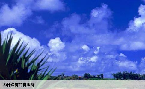 为什么有的有酒窝