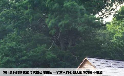 为什么有时候我很讨厌自己想挽回一个女人的心却无能为力我不喝酒
