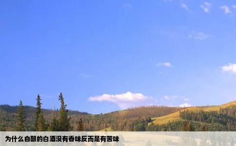 为什么自酿的白酒没有香味反而是有苦味