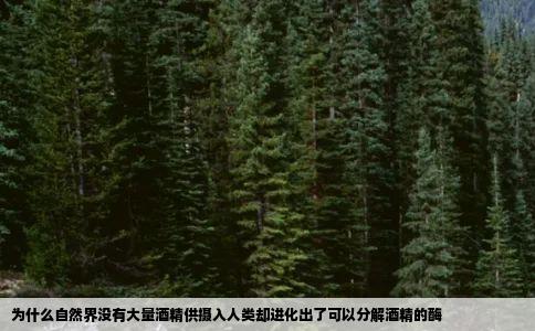 为什么自然界没有大量酒精供摄入人类却进化出了可以分解酒精的酶