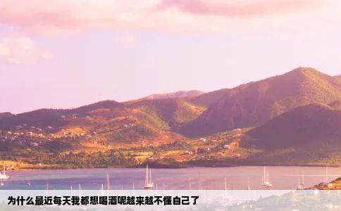 为什么最近每天我都想喝酒呢越来越不懂自己了