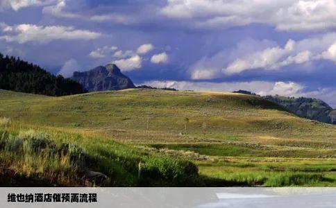 维也纳酒店催预离流程