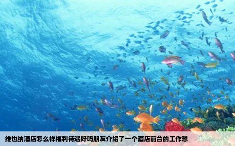 维也纳酒店怎么样福利待遇好吗朋友介绍了一个酒店前台的工作想