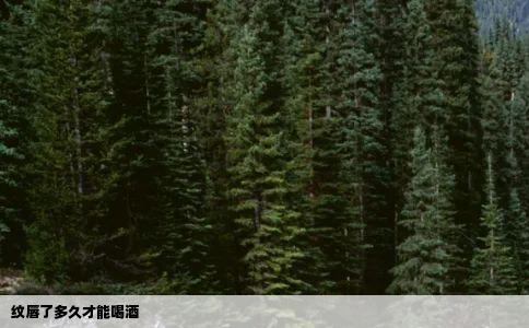 纹唇了多久才能喝酒