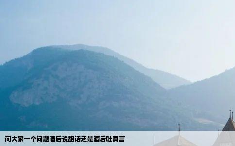 问大家一个问题酒后说胡话还是酒后吐真言