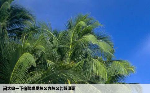 问大家一下宿醉难受怎么办怎么能醒酒啊