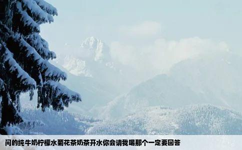 问的纯牛奶柠檬水菊花茶奶茶开水你会请我喝那个一定要回答