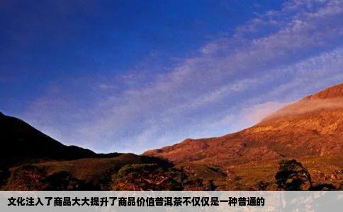 文化注入了商品大大提升了商品价值普洱茶不仅仅是一种普通的