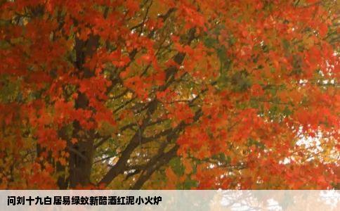 问刘十九白居易绿蚁新醅酒红泥小火炉