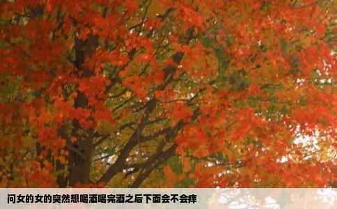 问女的女的突然想喝酒喝完酒之后下面会不会痒