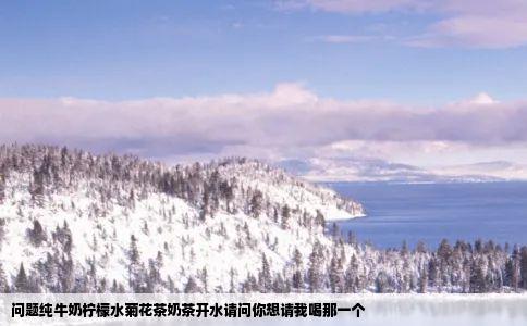 问题纯牛奶柠檬水菊花茶奶茶开水请问你想请我喝那一个