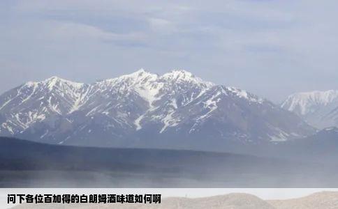 问下各位百加得的白朗姆酒味道如何啊