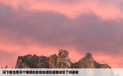 问下我也想开个烟酒批发你知道在哪里进货了吗谢谢