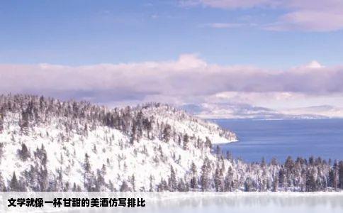 文学就像一杯甘甜的美酒仿写排比